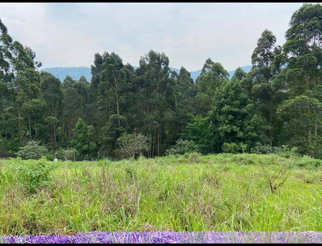 LAND FOR SALE IN MONTROSE